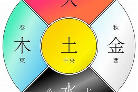 乙巳年五行|乙巳年是什么意思 乙巳年五行属什么